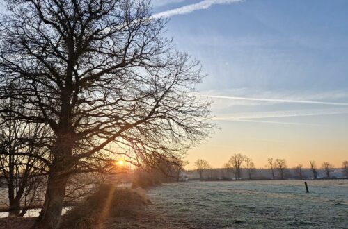 Week-end nature et détente près du Mans