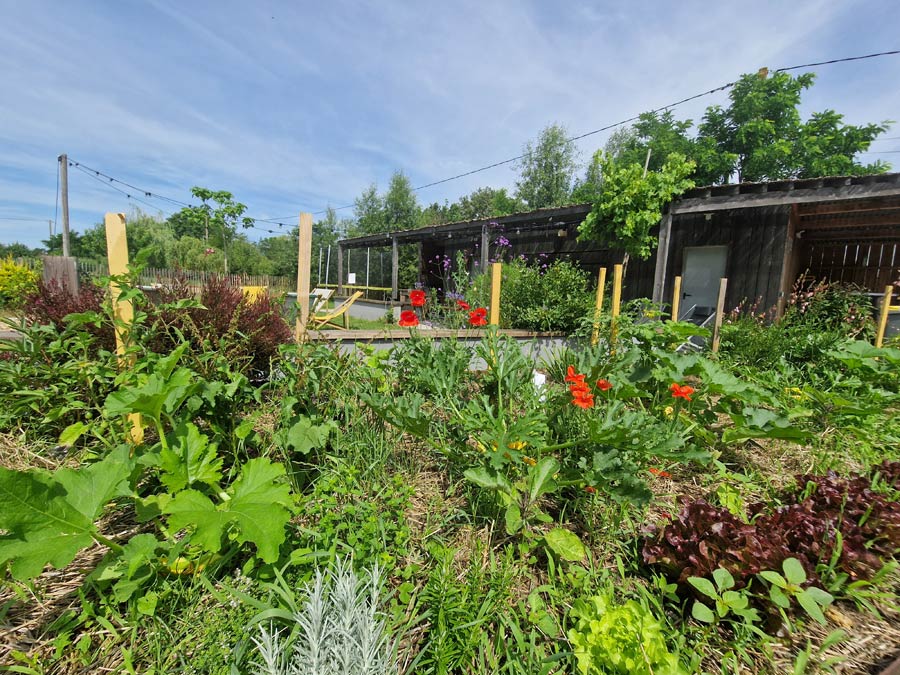 Potager en permaculture en Sarthe – Le Jardin des 4 Saisons
