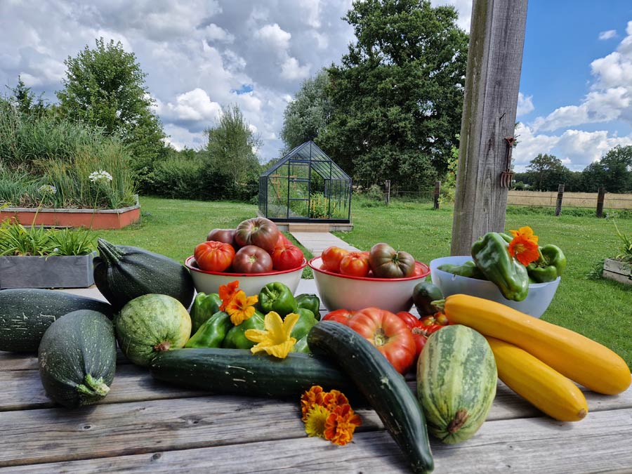 Potager du gîte Le Jardin des 4 Saisons