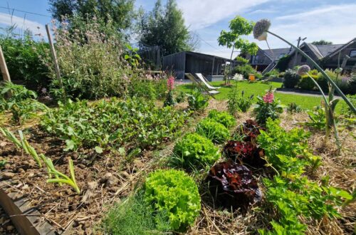 Potager du gîte Le Jardin des 4 Saisons