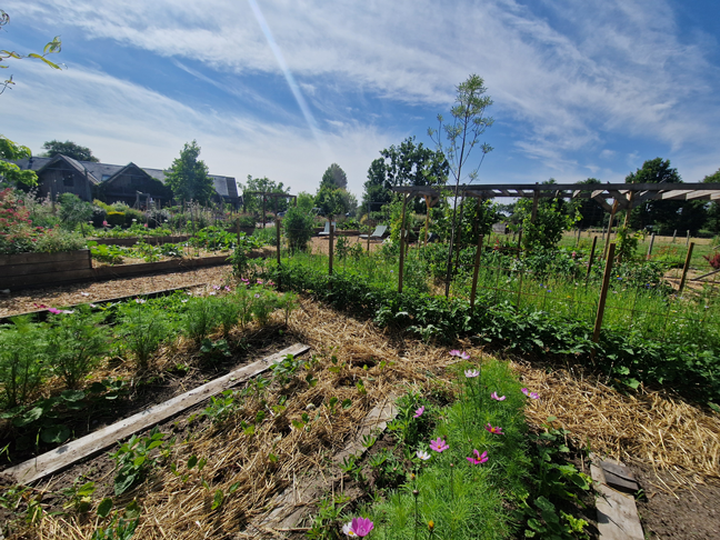 Le-petit-Futé-2025-gite-le-mans-4-etoiles-le-jardin-des-4-saisons