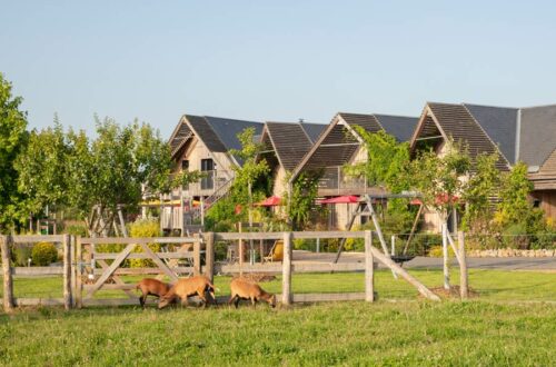 gite en Sarthe près de Mans animaux de la ferme le jardin des 4 saisons